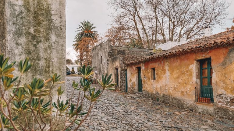 A imagem mostra uma rua de paralelepípedos em Colonia del Sacramento, no Uruguai, com construções antigas e rústicas, cercadas por vegetação. As fachadas desgastadas das casas e as árvores ao fundo conferem um charme histórico e pitoresco ao local.