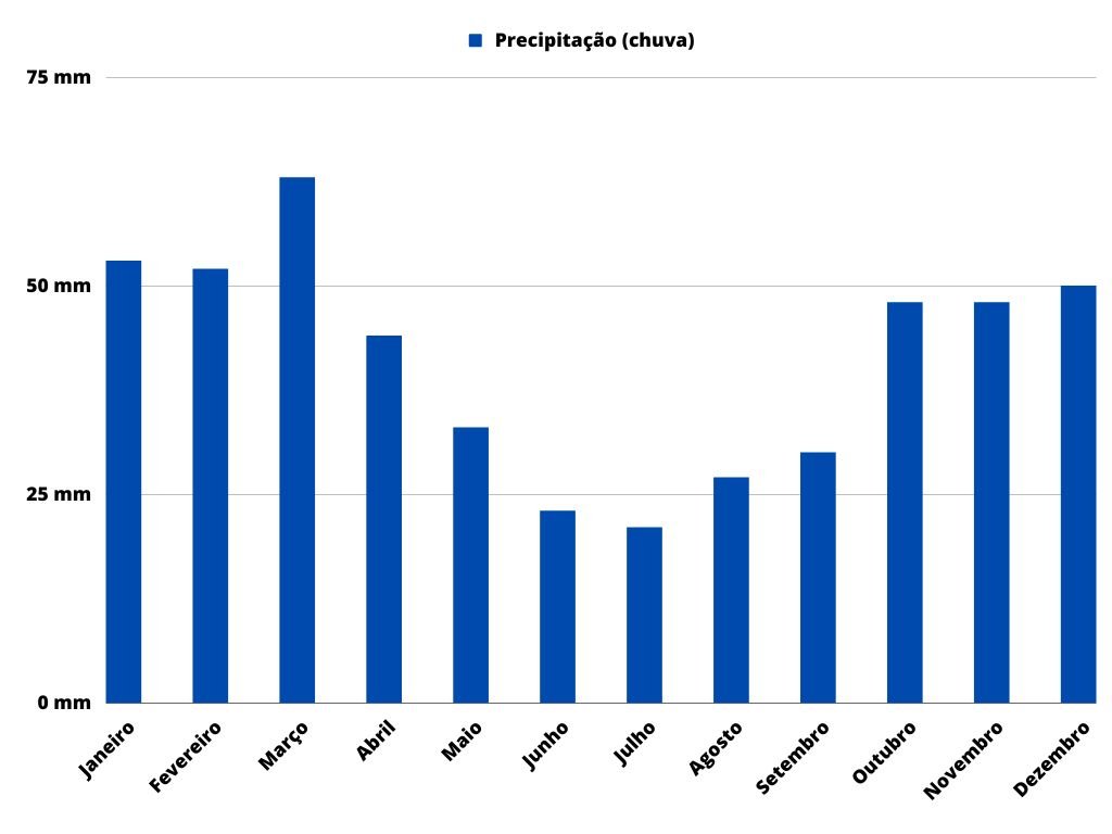 Gráfico do nível de chuva em Mendoza