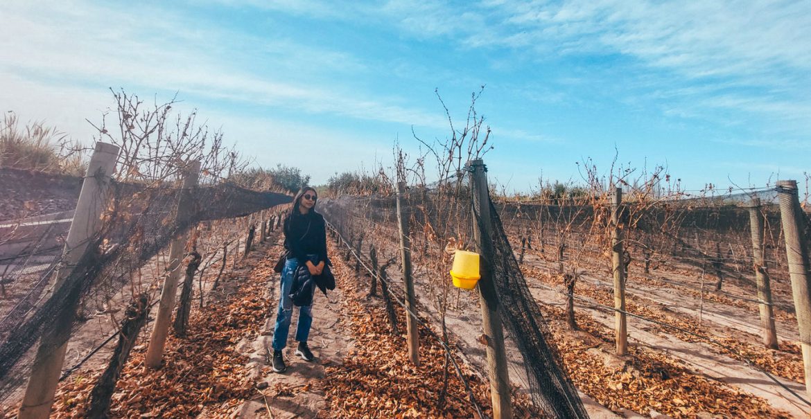 Bodega Tempus Alba em Mendoza