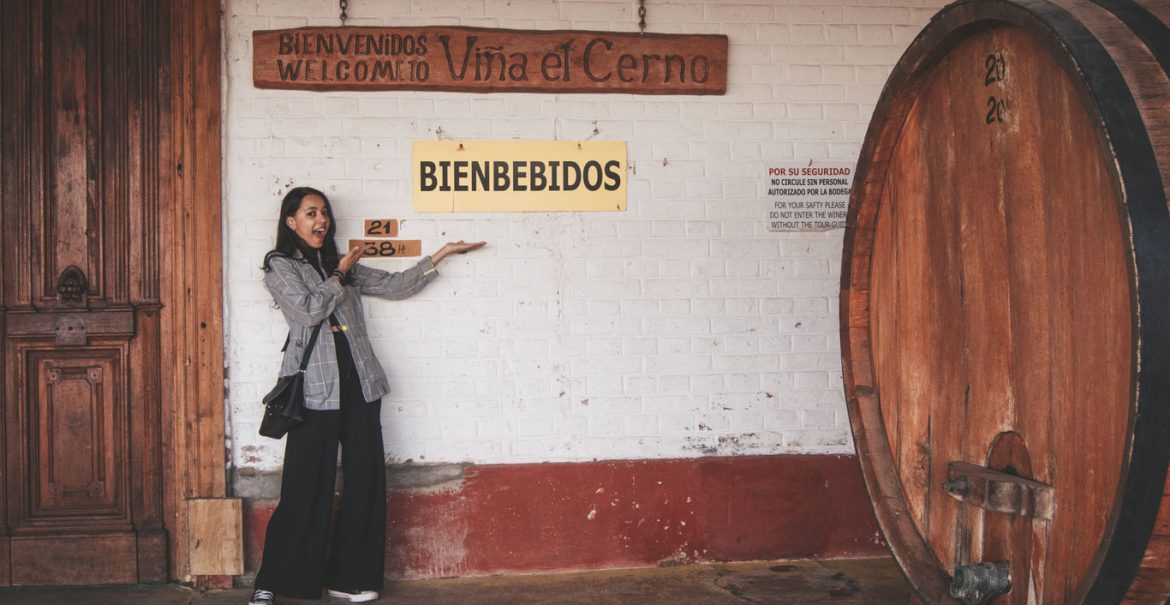 Passeio pelas bodegas de Mendoza